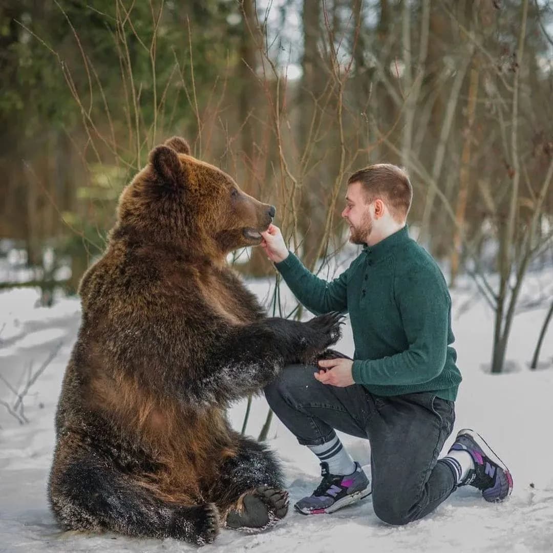 Bear Encounter