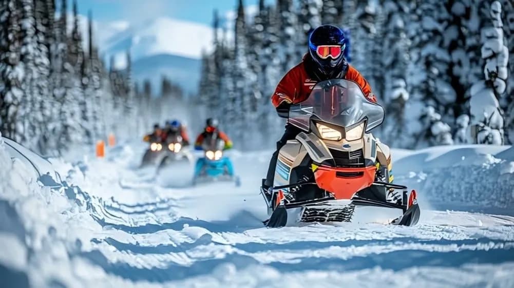 Snowmobile Ride