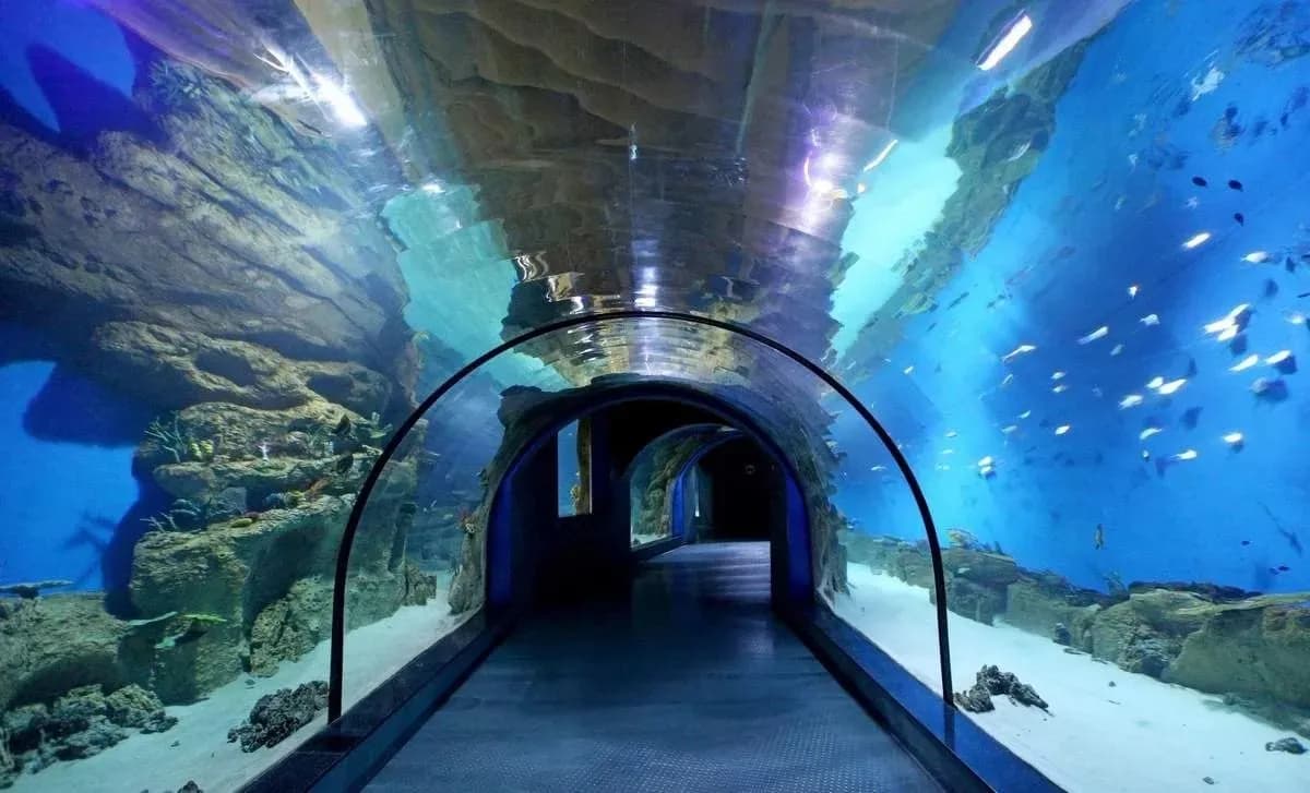 Aquarium