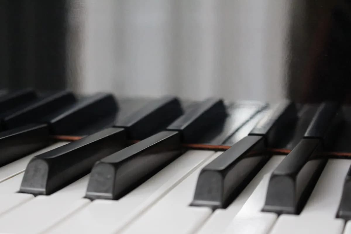 Art & Music